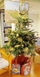 32.  De kerstboom in het DOP